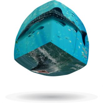 V-cube Requins 2x2