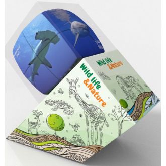 V-cube Requins 2x2