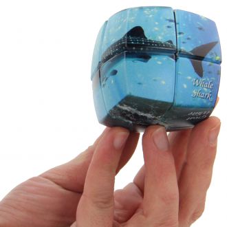 puzzle v cube 2x2 requins monde marin