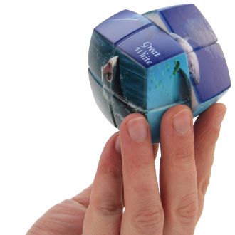 puzzle v cube 2x2 requins monde marins