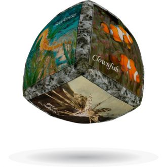 V-Cube animaux marins