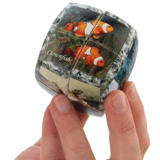 puzzle v cube 2x2 poissons monde marin combinaisons nemo clown aquarium