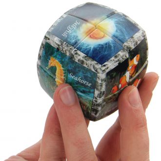 puzzle v cube 2x2 poissons monde marin combinaisons nemo clown aquarium hyppocampe