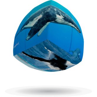 V-cube Baleines 2x2