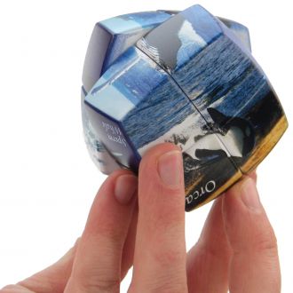 puzzle v cube 2x2 baleine orca combinaisons casse tete monde marin