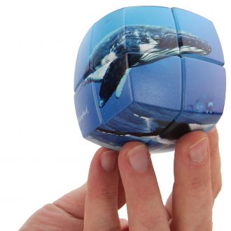 puzzle v cube 2x2 baleine orca combinaisons casse tete monde marin
