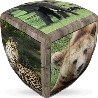 Animaux sauvages 3x3x3