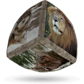 Animaux sauvages 3x3x3