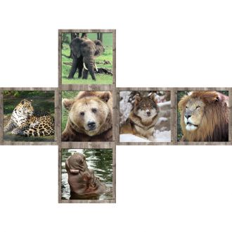Animaux sauvages 3x3x3