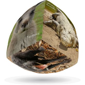 Animaux d'Australie 3x3x3