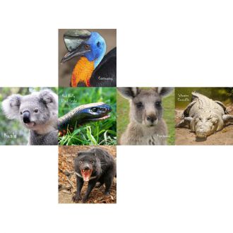 Animaux d'Australie 3x3x3