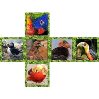 V-Cube Oiseaux 3x3x3
