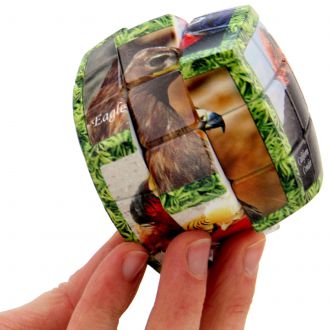 aigles oiseaux v-cube puzzle 3X3