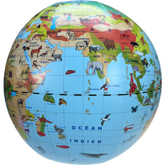 Aprenda enquanto se diverte graças ao Caly Animal Globe Balloon, que apresenta 270 animais e seus respectivos habitats.