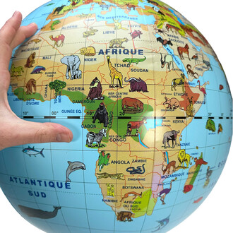 Balão globo de animais - 50cm: uma forma divertida e lúdica de explorar os animais e seus habitats ao redor do mundo.
