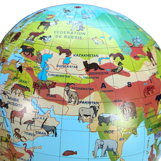 Leve as crianças numa viagem através dos continentes com este globo insuflável de 50 cm com 270 animais fascinantes.
