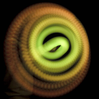 Bolas LED Echo Orbit 20 fonctions - Firetoys