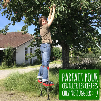 Cueillir des cerises en échasses