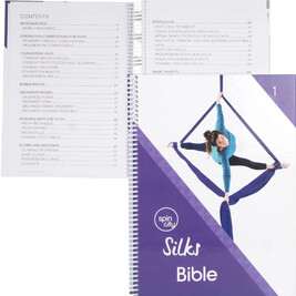 Livre Silks Bible