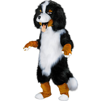 Costume de chien en peluche, représentant un chien de race bernois, avec un pelage noir, blanc et marron. Le costume inclut une tête réaliste avec des yeux expressifs et une langue pendante, ainsi que des pattes gantées avec des griffes. La silhouette est