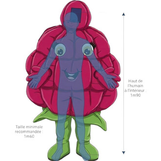 Mascotte de Framboise