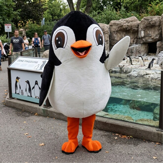 Mascotte Pingouin Givré en costume noir et blanc avec bec orange et pieds orange, bras levés, debout devant un enclos de pingouins au zoo.
