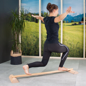 Jeune femme pratiquant l'équilibre sur une barre de jonglerie dans un environnement intérieur avec un fond montrant un paysage verdoyant et montagneux. Elle est en position de fente, un bras tendu en avant et l'autre vers l'arrière. Elle porte un t-shirt 