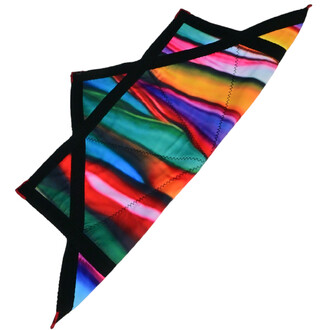 Disque Flying Star coloré aux motifs vibrants avec des formes fluides, bordé de noir. Un objet volant stylé et flexible.