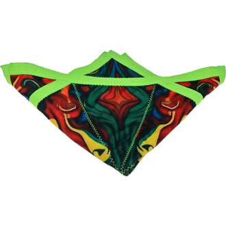 Disque Flying Star – Vue du disque volant avec un motif coloré vibrant et des bordures vertes. Le design présente des formes abstraites avec des couleurs rouges, vertes et jaunes.