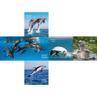 Dolfijnen 3x3x3