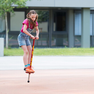 Pogostick 30 kg