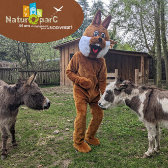 Mascotte de lapin en costume marron avec un grand sourire, se tenant au milieu de deux ânes dans un environnement naturel, avec une cabane en bois en arrière-plan. Le lapin interagit avec les ânes sur l'herbe.