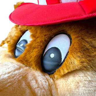 Masque de mascotte en forme d'ours, avec un pelage brun, des grands yeux ronds et une casquette rouge. Gros plan sur le visage et les yeux de la mascotte.