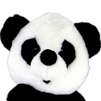 Cute Panda Mascot