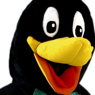 Pingouin Queue-de-Pie
