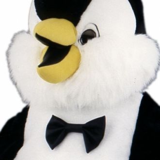 Mascotte Pingouin Serveur